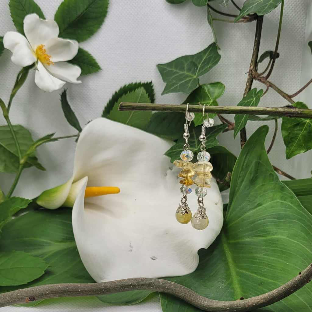 Boucles d'oreilles Pierre en folie (Réf: PEF)