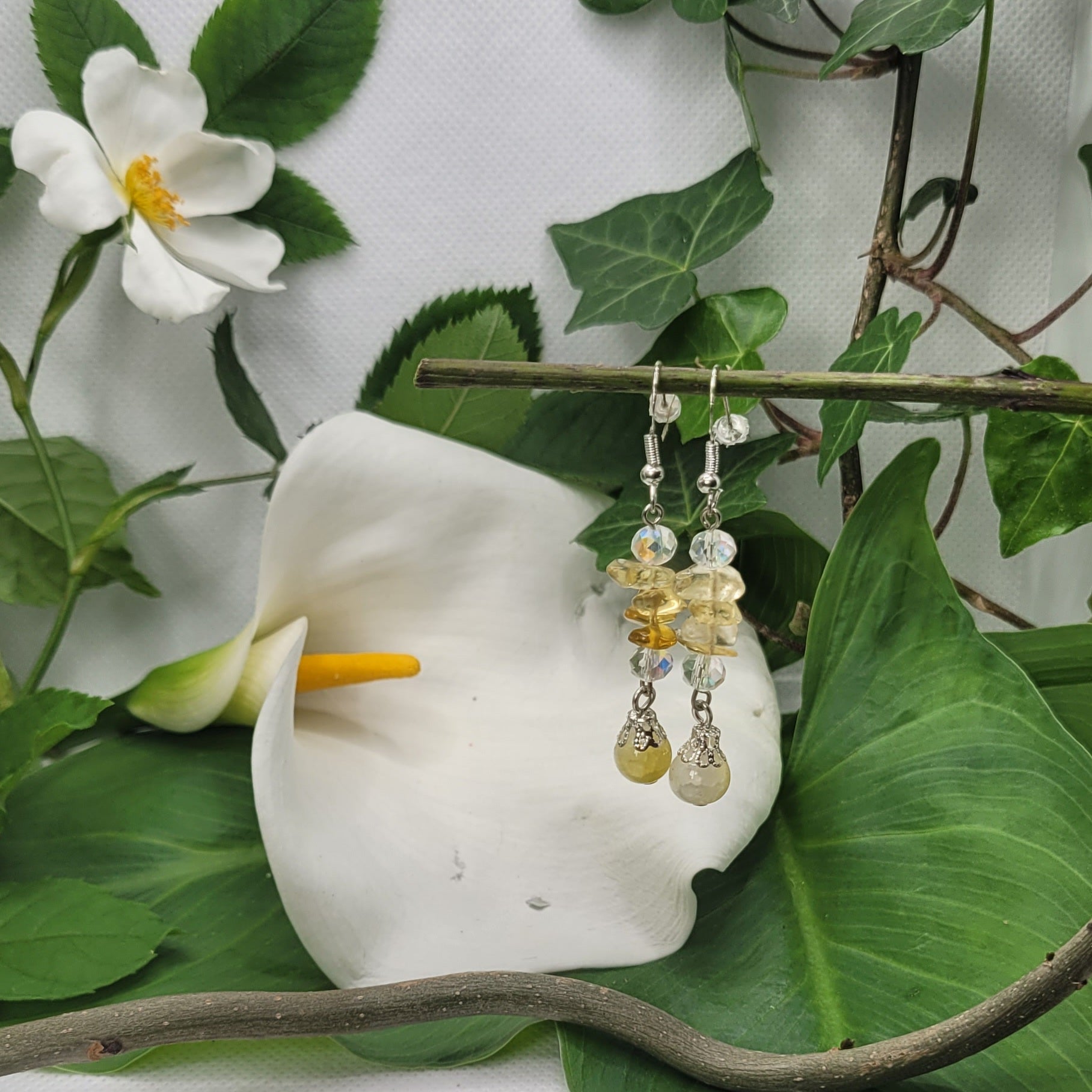 Boucles d'oreilles Pierre en folie (Réf: PEF)